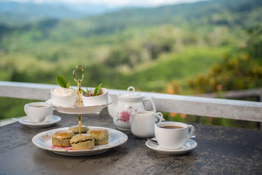 Photo: Tea setup